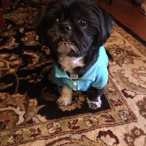 Meet your Posher, Jean ann